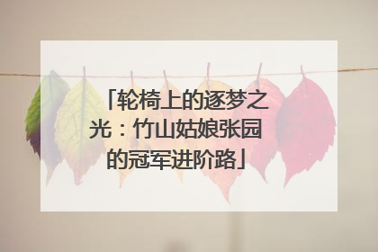 轮椅上的逐梦之光：竹山姑娘张园的冠军进阶路