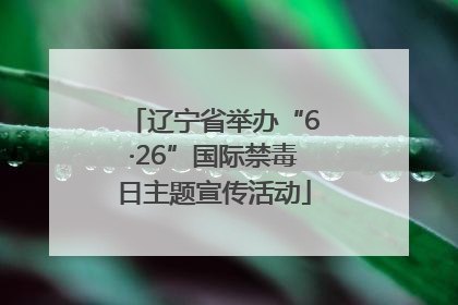 辽宁省举办“6·26”国际禁毒日主题宣传活动