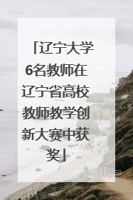 辽宁大学6名教师在辽宁省高校教师教学创新大赛中获奖