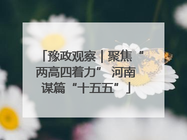 豫政观察｜聚焦“两高四着力” 河南谋篇“十五五”