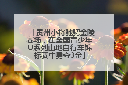 贵州小将驰骋金陵赛场，在全国青少年U系列山地自行车锦标赛中勇夺3金