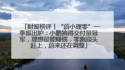财报横评丨“蔚小理零”一季报出炉：小鹏摘得交付量冠军，理想最能赚钱，零跑迎头赶上，蔚来还在调整