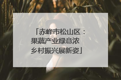 赤峰市松山区：果蔬产业绿意浓 乡村振兴展新姿