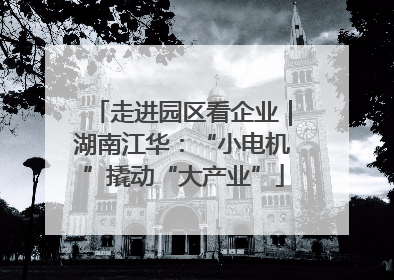 走进园区看企业｜湖南江华：“小电机”撬动“大产业”