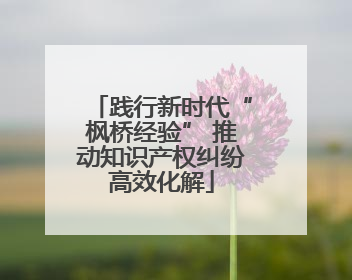 践行新时代“枫桥经验” 推动知识产权纠纷高效化解