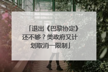 退出《巴黎协定》还不够？美政府又计划取消一限制
