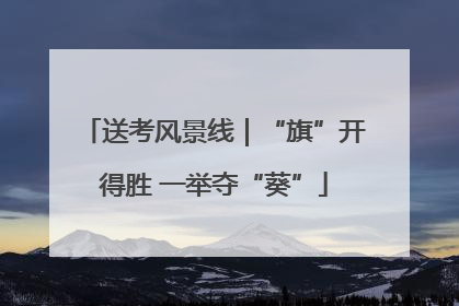 送考风景线｜“旗”开得胜 一举夺“葵”