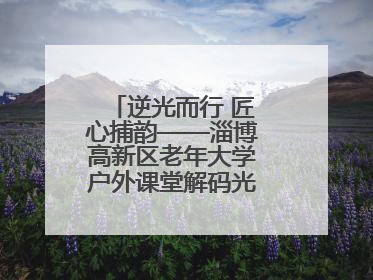 逆光而行 匠心捕韵——淄博高新区老年大学户外课堂解码光影美学密码