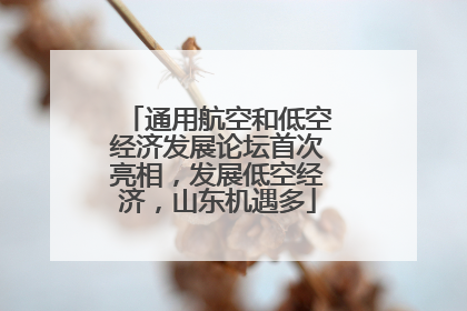 通用航空和低空经济发展论坛首次亮相，发展低空经济，山东机遇多