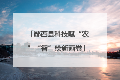 郧西县科技赋“农”“智”绘新画卷