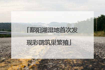 鄱阳湖湿地首次发现彩鹮筑巢繁殖