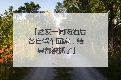 酒友一同喝酒后各自驾车回家，结果都被抓了