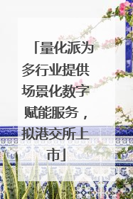 量化派为多行业提供场景化数字赋能服务，拟港交所上市