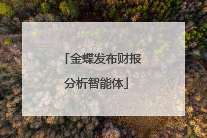 金蝶发布财报分析智能体