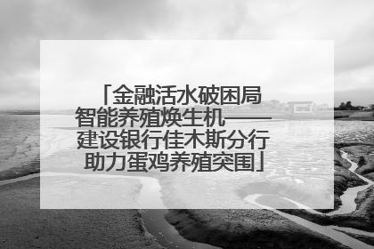 金融活水破困局 智能养殖焕生机——建设银行佳木斯分行助力蛋鸡养殖突围