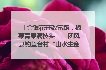 金银花开致富路，板栗青果满枝头——团风县钓鱼台村“山水生金”谱写共富新篇章