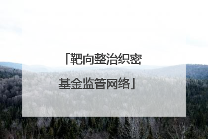 靶向整治织密基金监管网络