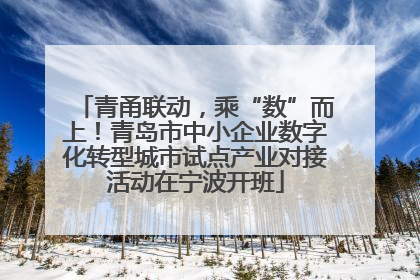 青甬联动，乘“数”而上！青岛市中小企业数字化转型城市试点产业对接活动在宁波开班