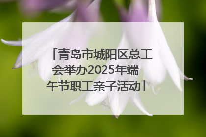 青岛市城阳区总工会举办2025年端午节职工亲子活动