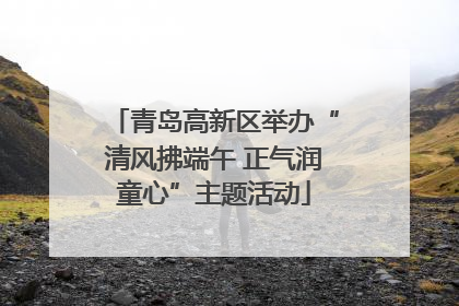 青岛高新区举办“清风拂端午 正气润童心”主题活动