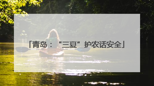 青岛：“三夏”护农话安全