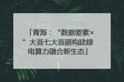 青海：“数据要素×”大赛七大赛题构建绿电算力融合新生态