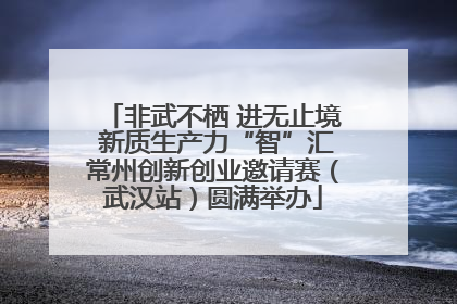 非武不栖 进无止境 新质生产力“智”汇常州创新创业邀请赛（武汉站）圆满举办