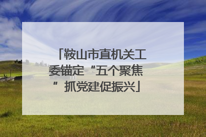鞍山市直机关工委锚定“五个聚焦”抓党建促振兴