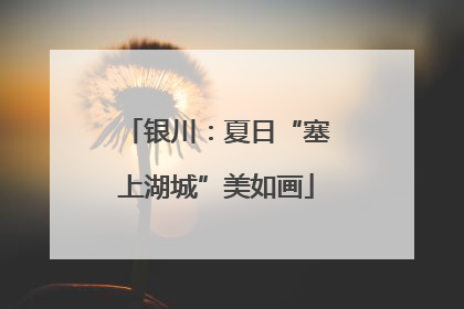 银川：夏日“塞上湖城”美如画