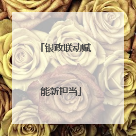 银政联动赋能新担当