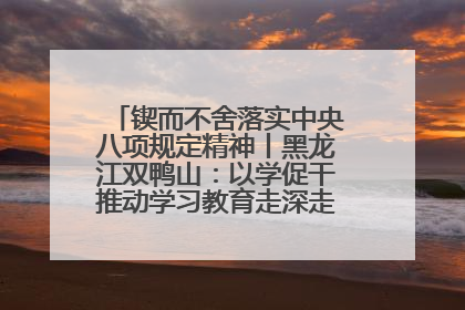 锲而不舍落实中央八项规定精神丨黑龙江双鸭山：以学促干推动学习教育走深走实 从小事入手写好“民生答卷”