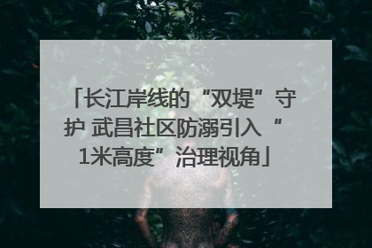 长江岸线的“双堤”守护 武昌社区防溺引入“1米高度”治理视角