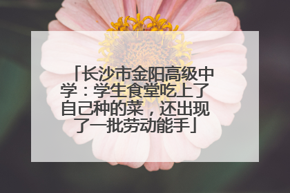 长沙市金阳高级中学：学生食堂吃上了自己种的菜，还出现了一批劳动能手