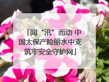 闻“汛”而动 中国太保产险丽水中支筑牢安全守护网