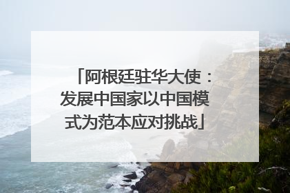 阿根廷驻华大使：发展中国家以中国模式为范本应对挑战