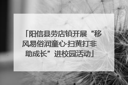 阳信县劳店镇开展“移风易俗润童心·扫黄打非助成长”进校园活动