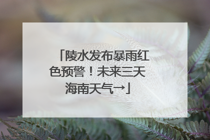 陵水发布暴雨红色预警！未来三天海南天气→