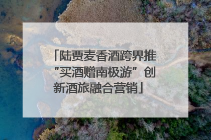 陆贾麦香酒跨界推“买酒赠南极游”创新酒旅融合营销