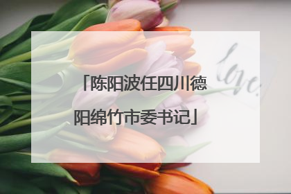 陈阳波任四川德阳绵竹市委书记