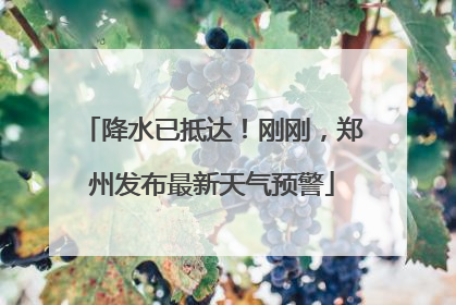 降水已抵达！刚刚，郑州发布最新天气预警