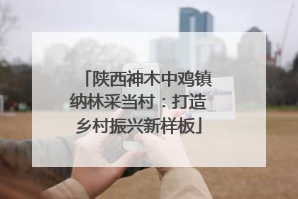 陕西神木中鸡镇纳林采当村：打造乡村振兴新样板