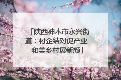 陕西神木市永兴街道：村企结对促产业 和美乡村展新颜