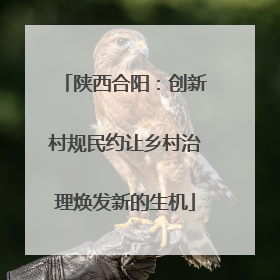 陕西合阳：创新村规民约让乡村治理焕发新的生机