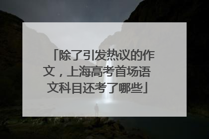 除了引发热议的作文，上海高考首场语文科目还考了哪些