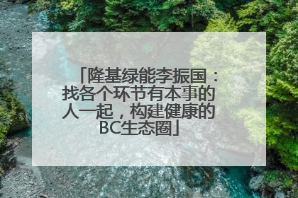 隆基绿能李振国：找各个环节有本事的人一起，构建健康的BC生态圈