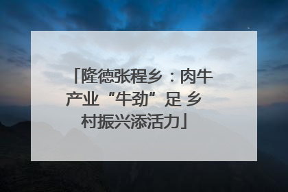 隆德张程乡：肉牛产业“牛劲”足 乡村振兴添活力
