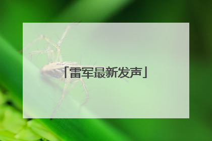 雷军最新发声