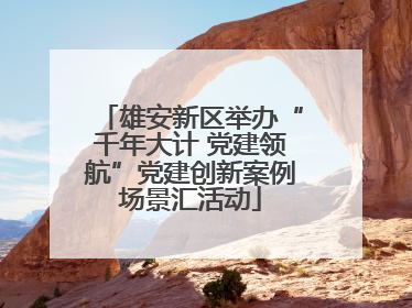 雄安新区举办“千年大计 党建领航”党建创新案例场景汇活动