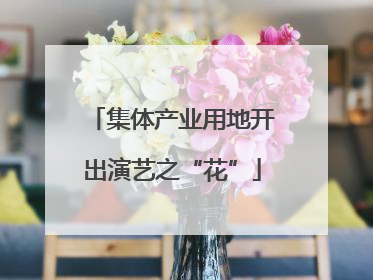 集体产业用地开出演艺之“花”