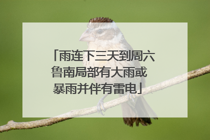 雨连下三天到周六 鲁南局部有大雨或暴雨并伴有雷电